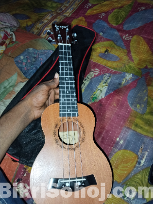 Ukulele kaspar